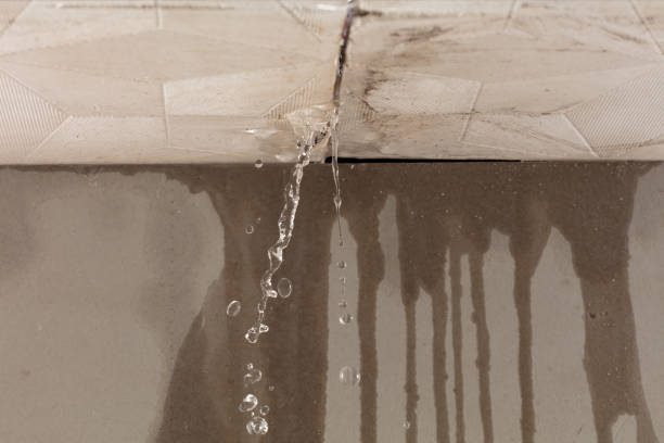 Professional Flood Damage Cleanup technician working in Freistatt, MO